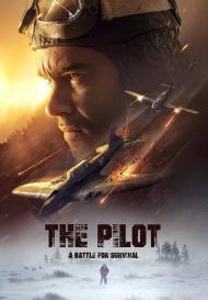 The pilot a battle for survival